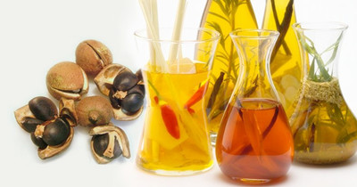 小型榨油機如何維護保養(圖1) 小型榨油機如何維護保養(圖1)