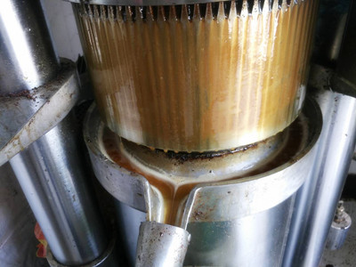  新買的榨油機(jī)如何度過磨合期(圖1)