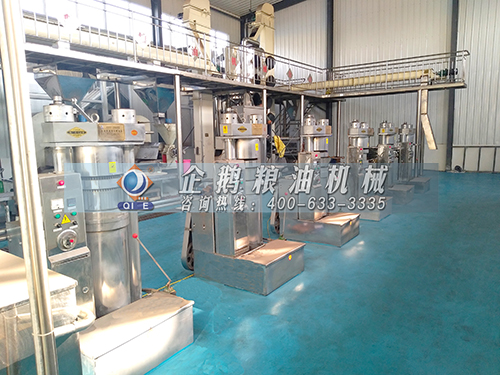 全自動榨油機生產線